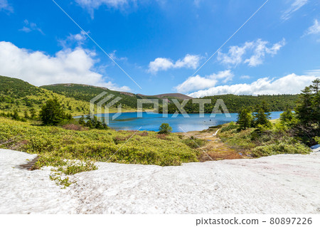 新鮮的綠色和雪季的伊西峽山 80897226