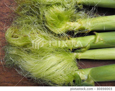 帶有新鮮收穫的皮膚的年輕玉米 80898003