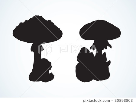 Poisonous fungus. Vector drawing Poisonous fungus. Vector drawing 80898808