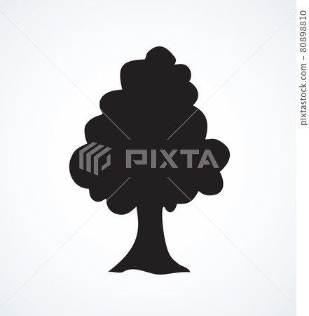 Big tree.Vector sketch Big tree.Vector sketch 80898810