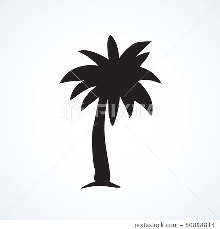 Palm tree. Vector drawing Palm tree. Vector drawing 80898813