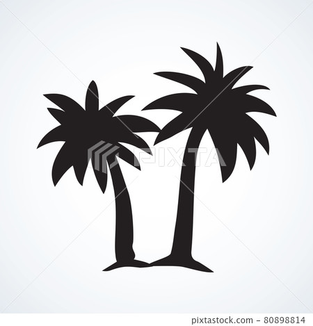Palm tree. Vector drawing Palm tree. Vector drawing 80898814