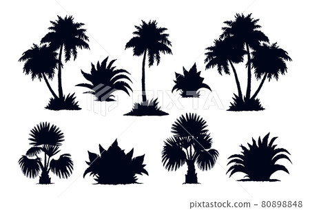 Palm forest. Vector drawing 80898848