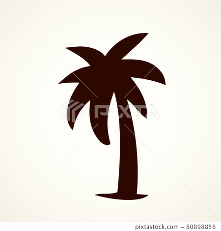 Palm tree. Vector drawing Palm tree. Vector drawing 80898858