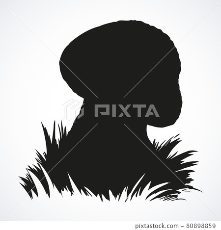 Cep on forest glade. Vector drawing 80898859