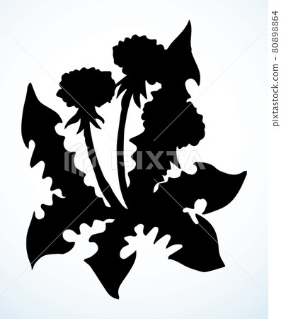 Blooming dandelion. Vector drawing icon Blooming dandelion. Vector drawing icon 80898864