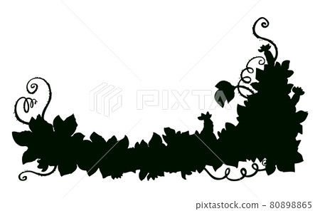 Cucumber vine. Vector drawing Cucumber vine. Vector drawing 80898865