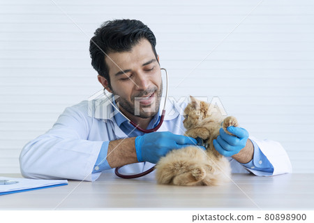 Veterinarian health care animal concept. Veterinary doctor young man wear uniform, blue latex gloves 80898900