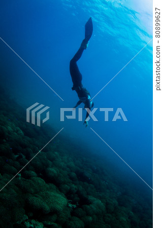 Skin diving 80899627