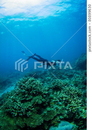 Skin diving 80899630