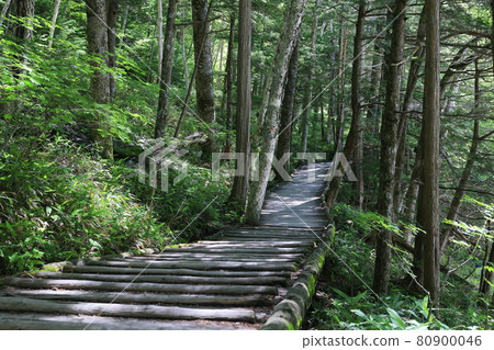 Kamikochi from Kappa Bridge to Myojin Kamikochi from Kappa Bridge to Myojin 80900046