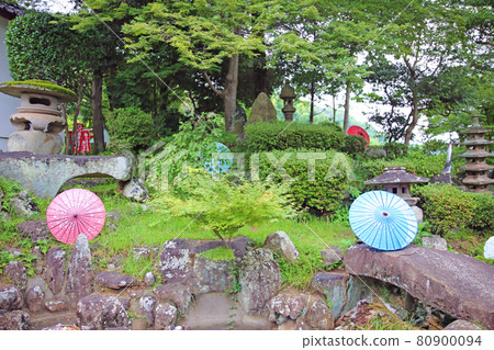 山崎八幡宮的繡球花 80900094