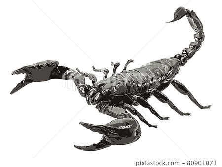 Scorpion isolated 80901071