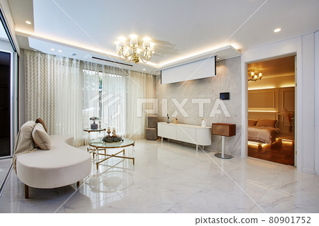 有豪華沙發和桌子的豪華內部客廳 有豪華沙發和桌子的豪華內部客廳 80901752