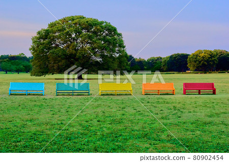 公園裡五顏六色的椅子 公園裡五顏六色的椅子 80902454