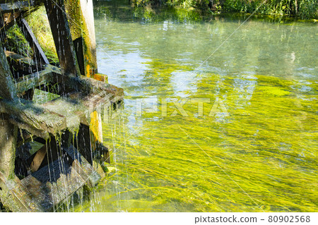 Clear stream of Daio Wasabi Farm 80902568