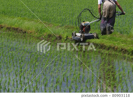 Mowing the shore A walking type mowing machine 80903118