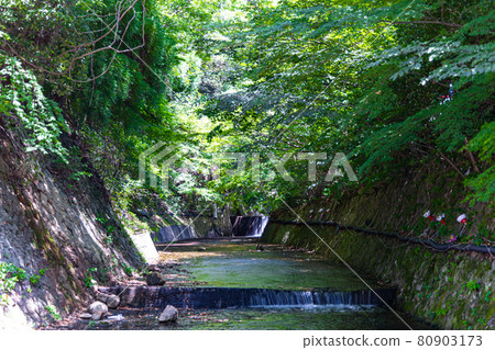 流經新綠色的河 80903173