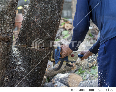 worker work with chainsaw without safety item worker work with chainsaw without safety item 80903190
