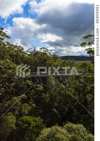 Australia-Denmark Valley of the Giants Tree Top Walk Australia-Denmark Valley of the Giants Tree Top Walk 80904991