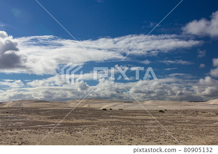 Wilderness in Nambung National Park, Australia 80905132