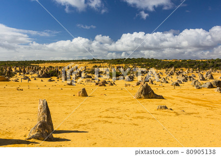 Pinnacles Desert in Nambung National Park, Australia Pinnacles Desert in Nambung National Park, Australia 80905138