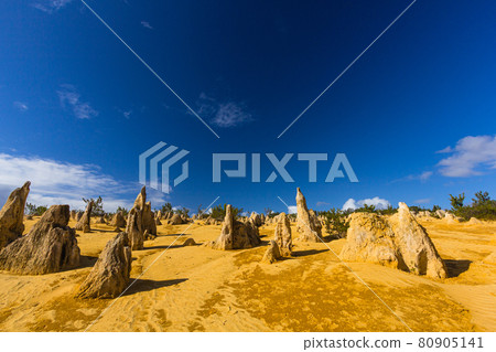 澳大利亞南邦國家公園的尖峰石陣 80905141