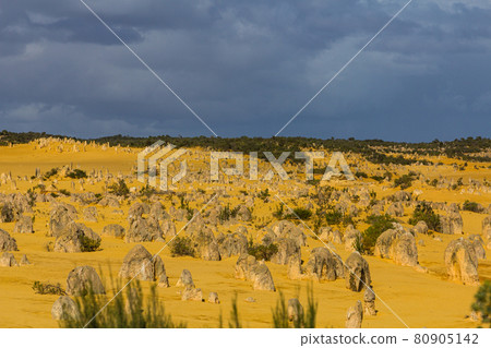 Pinnacles Desert in Nambung National Park, Australia 80905142