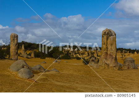 Pinnacles in Nambung National Park, Australia 80905145
