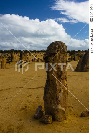Pinnacles in Nambung National Park, Australia 80905146