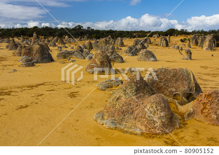 Pinnacles in Nambung National Park, Australia 80905152
