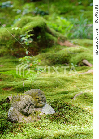 [Sanzen-in] Shade Warabe 地藏 80905392