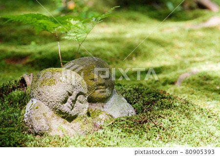 [Sanzen-in] Shade Warabe 地藏 80905393