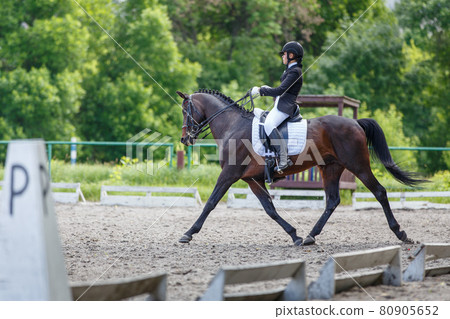 Young sportswoman riding horse on dressage test 80905652