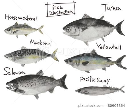 Sea fish hand drawn watercolor illustration set 80905864