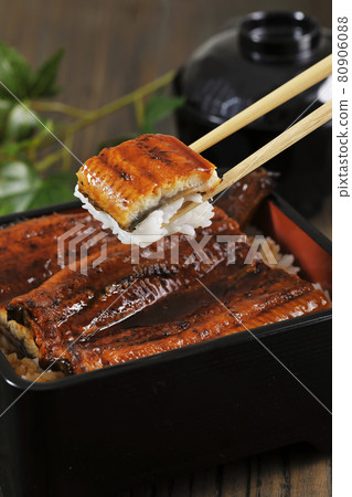 鰻魚（鹿兒島縣產鰻魚） 80906088
