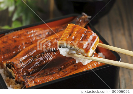 Eel (eel from Kagoshima prefecture) Eel (eel from Kagoshima prefecture) 80906091