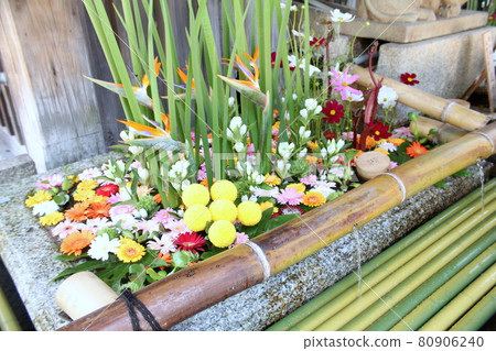 Colorful fresh flowers Colorful fresh flowers 80906240