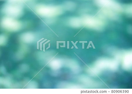 Blurred expression of shadows of midsummer trees and sunbeams 6 80906390