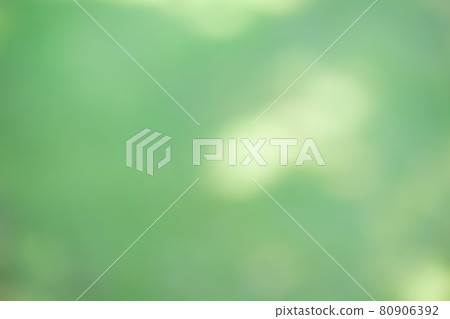 Blurred expression of shadows of midsummer trees and sunbeams 8 Blurred expression of shadows of midsummer trees and sunbeams 8 80906392