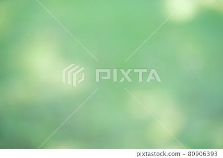 Blurred expression of shadows of midsummer trees and sunbeams 9 80906393