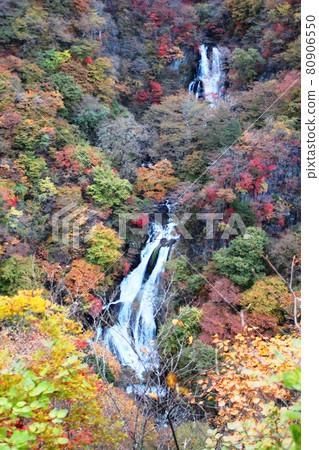 被秋葉染紅的霧降 被秋葉染紅的霧降 80906550