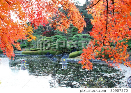 秋葉色的水樂園 南港公園 秋葉色的水樂園 南港公園 80907270