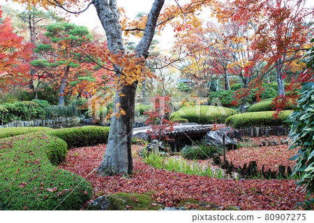 Suirakuen colored with autumn leaves Nanko Park 80907275