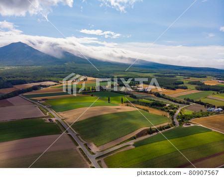 Photographing a vast field in Furano, Hokkaido from the sky (drone photography) 80907567