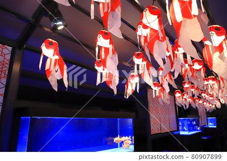 Sumida Aquarium Goldfish Aquarium 80907899