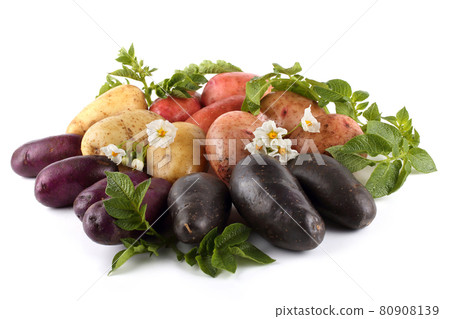 Different color potatoes, leaves and flowers Different color potatoes, leaves and flowers 80908139