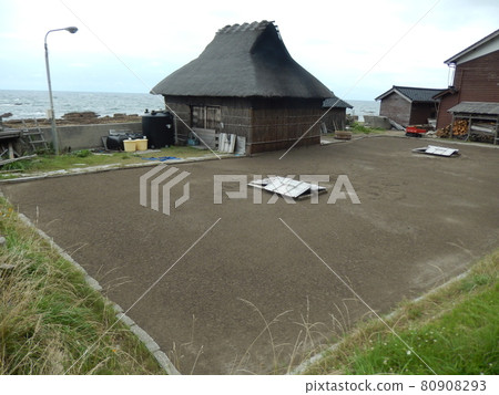 Sea Salt Farm Kakuhana Family 80908293