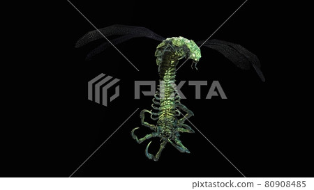 the evil bug 3d render 80908485