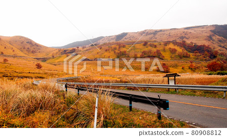 Side view of the countryside highway up to the hill with yellow grass field and some of deciduous trees in autumn 80908812